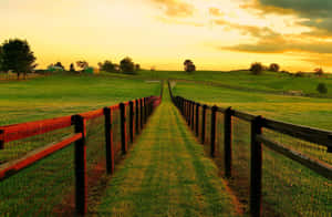 Discover Colorado's Breathtaking Mountain Vistas At Ranch Wallpaper