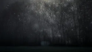 Discover The Mystical Forest - An Enchanting Experience Wallpaper