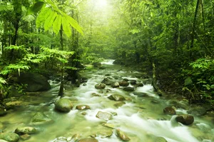 Discovering The Beauty Of Eco-tourism Wallpaper