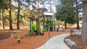 Discovery Park Playground Seattle Wallpaper