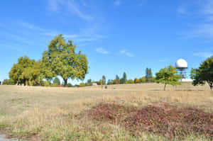 Discovery Park Radar Domeand Meadow Wallpaper