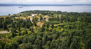 Discovery Park Seattle Aerial View Wallpaper