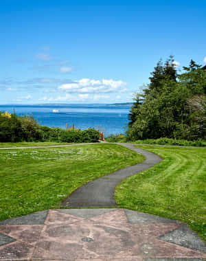 Discovery Park Seattle Pathway View Wallpaper