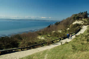 Discovery Park Seattle Scenic Trail Wallpaper