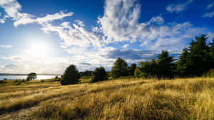 Discovery Park Sunset Fields Seattle Wallpaper