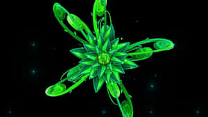 Disjointed Green Flower Wallpaper