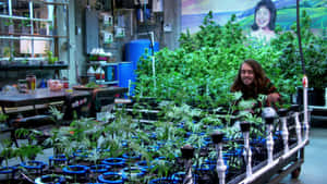 Disjointed Scene With Pete Wallpaper