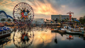 Disney 1920x1080 Hd California Adventure At Sunset Wallpaper