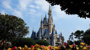 Disney World With Flowers Wallpaper