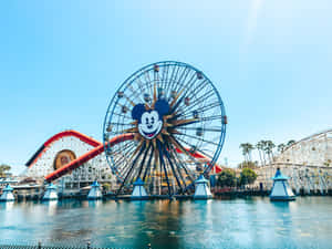 Disneyland California Adventure Park Ferris Wheel Wallpaper