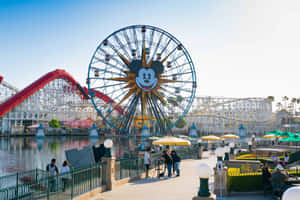 Disneyland California Adventure Park Ferris Wheel Wallpaper