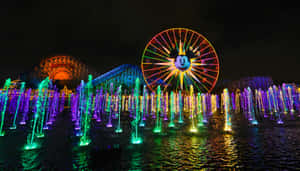 Disneyland California Adventure Park Night Lights Wallpaper