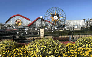 Disneyland California Adventure Park View Wallpaper