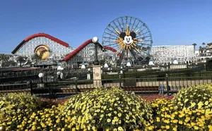 Disneyland California Adventure Park View Wallpaper