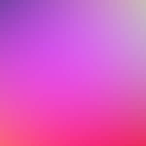 Distinct Pink To Purple Hue Wallpaper