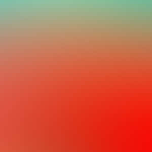 Distinct Red Hues Wallpaper