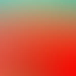 Distinct Red Hues Wallpaper