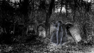 Distressed Ghost In A Graveyard Wallpaper