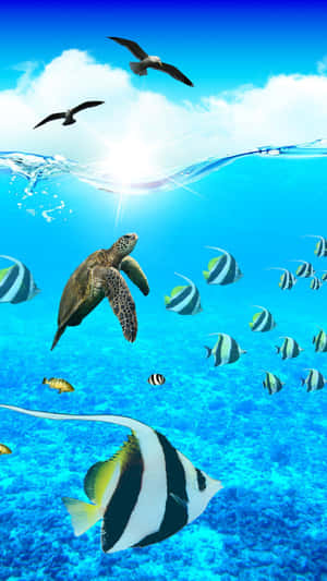 Dive Into A World Of Aquatic Wonder - Aquarium Iphone Wallpaper