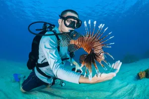 Diver_with_ Red_ Lionfish Wallpaper