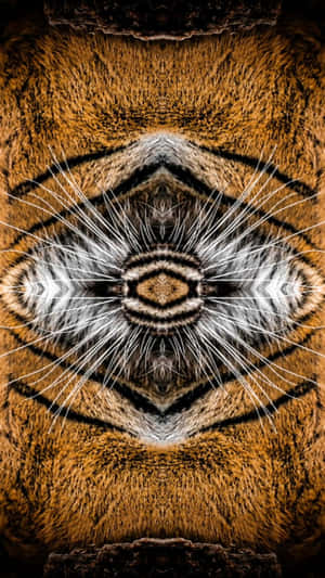 Dmt Pattern Wallpaper