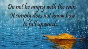 Do Not Be Angry Quote Most Beautiful Rain Wallpaper
