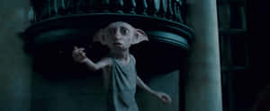 Dobby The House Elf Is Ready To Serve Wallpaper