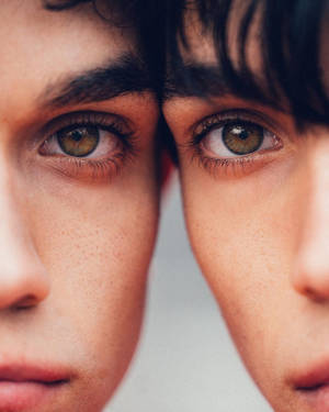 Dobre Brothers Hazel Eyes Wallpaper