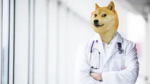 Doctor Doge In Action Wallpaper
