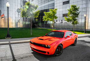 Dodge Challenger Go Mango Color Wallpaper