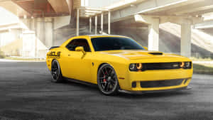 Dodge Challenger Srt Srt Srt Srt Srt Srt Srt Wallpaper