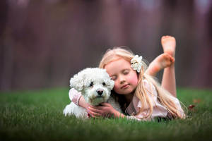 Dog And Girl Green Grass Wallpaper