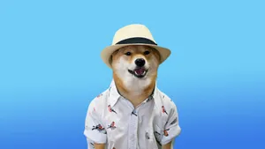 Doge In A Dapper Getup Wallpaper