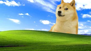 Doge Over Bliss Landscape Wallpaper