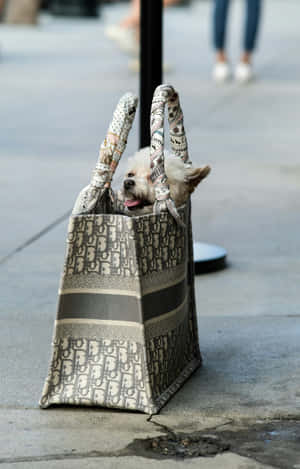 Dogin Designer Bag Wallpaper