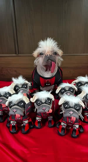 Dogpool And Mini Me Collection Wallpaper