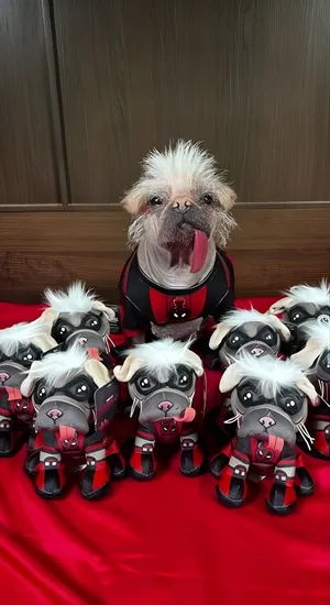 Dogpool And Mini Me Collection Wallpaper