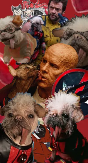 Dogpool Canine Mashup Wallpaper