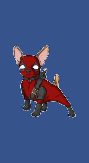 Dogpool Hero Chihuahua Wallpaper
