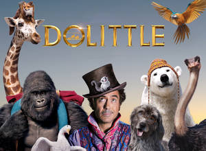 Dolittle 2020 Fantasy Film Wallpaper