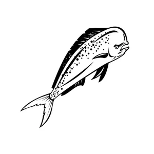 Dolphinfish Vector Illustration Wallpaper