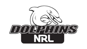 Dolphins Nrl Wallpaper