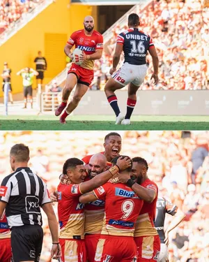 Dolphins Nrl Wallpaper