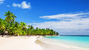 Dominica White Sand Beach Wallpaper