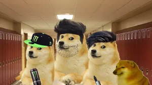 Don't Let This Cute Dog Face Fool You, He Has All The Memes!