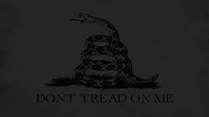 Don't Tread On Me Wallpaper