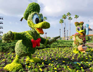 Donald Duck And Daisy Topiary Wallpaper