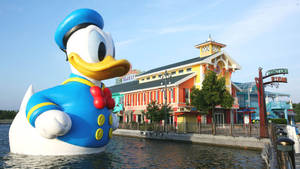 Donald Duck At Shanghai Disney Wallpaper