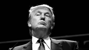 Donald Trump In Grayscale Wallpaper