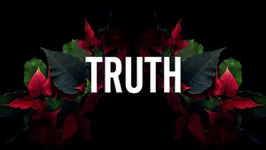 Dope Truth Text Art Wallpaper